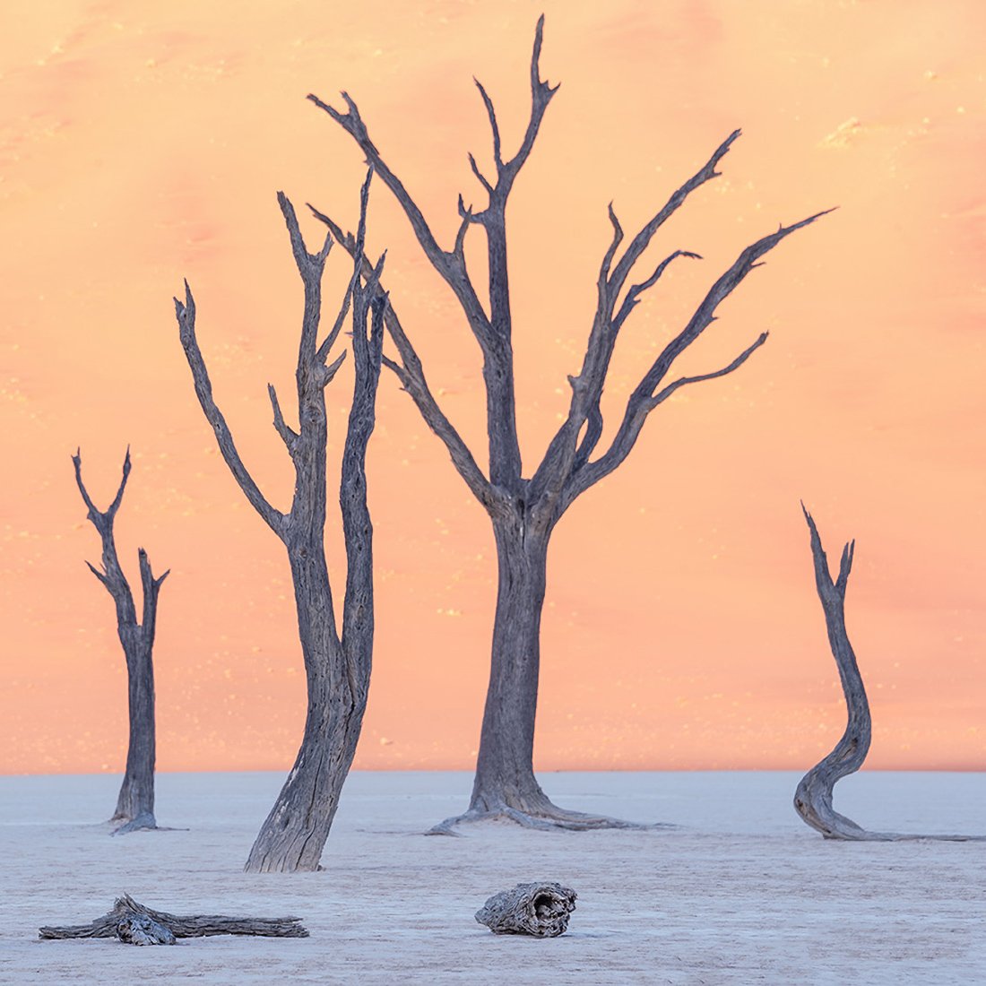 Photo-Journeys-Banner-7