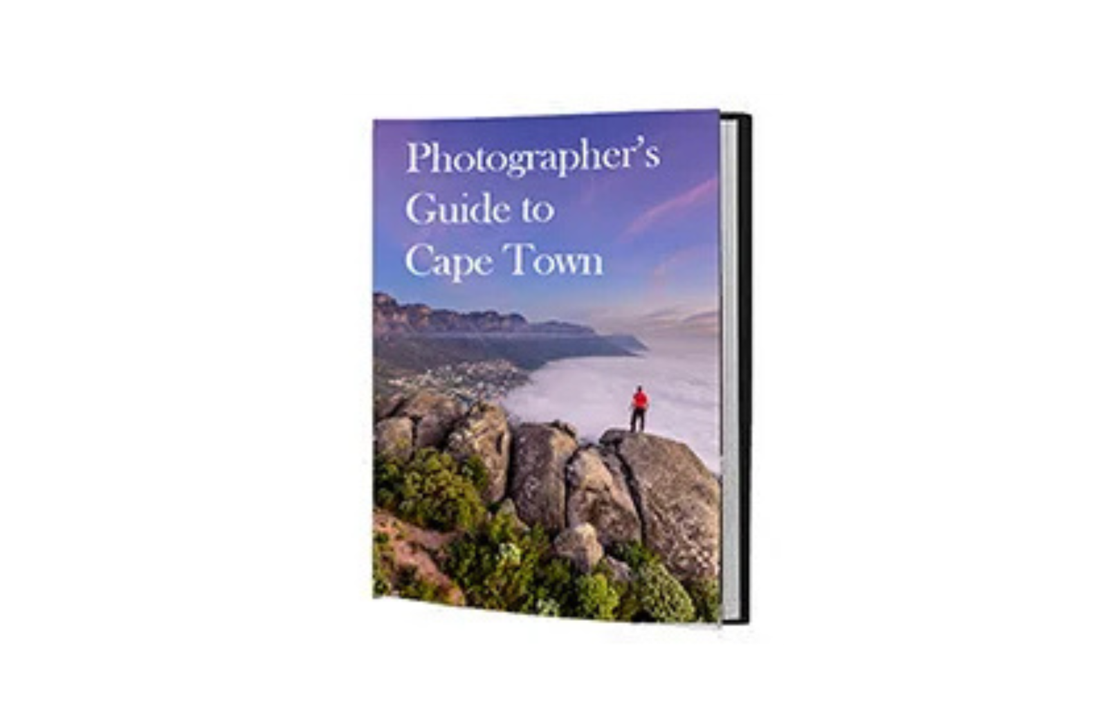 Untitled design (81)