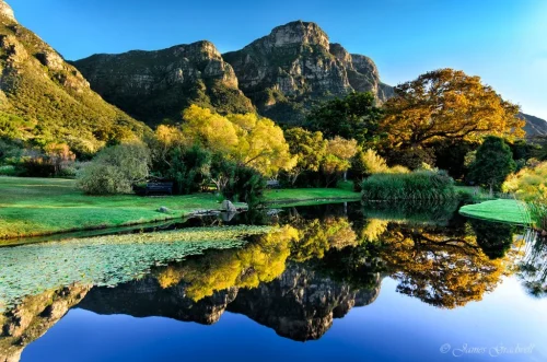 PHOTO-TOUR-KIRSTENBOSCH-GARDENS-CAPE-TOWN-1024x678